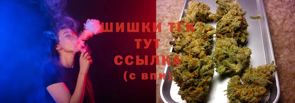 тгк Няндома