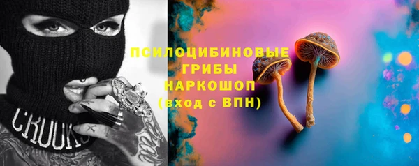 тгк Няндома