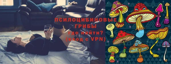 тгк Няндома