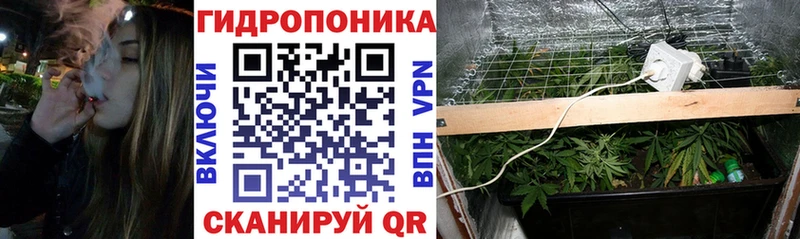 купить   Сольцы  Канабис индика 